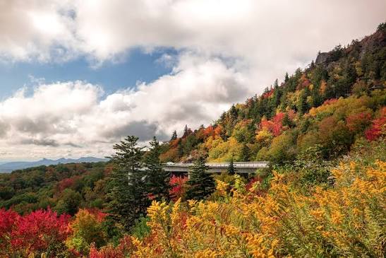 Virginia wine country scenic view 3