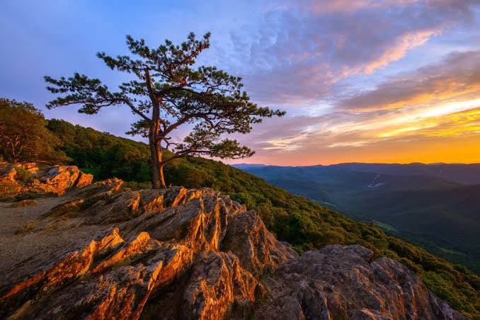 Charlottesville and Blue Ridge scenic view 2