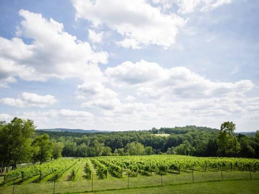 Virginia wine country scenic view 2